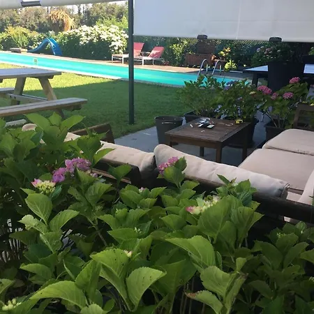 Susi Suites Somo